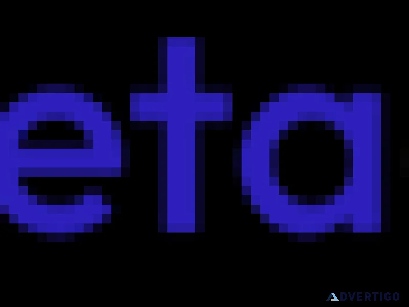 Metacorp ites pvt ltd