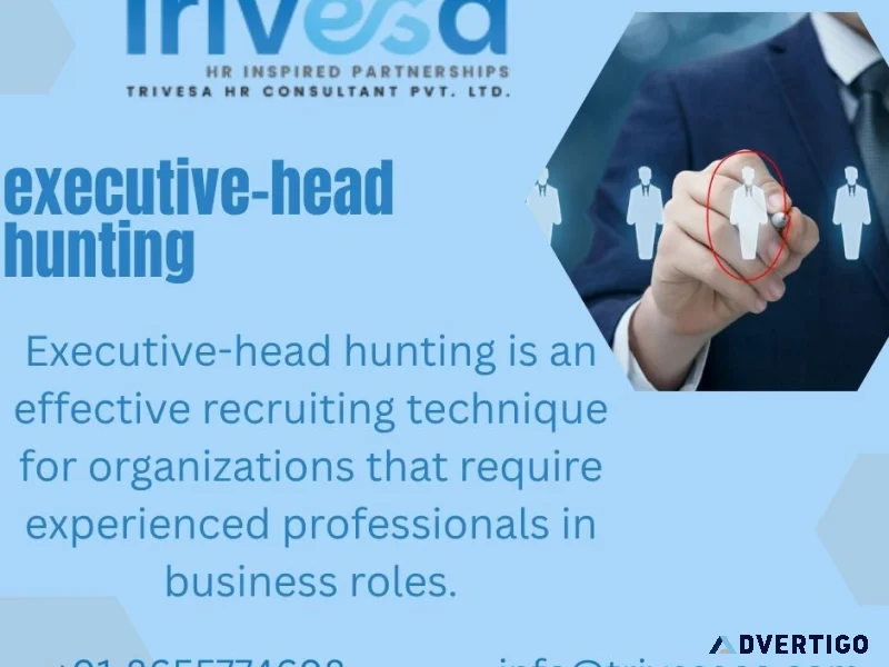 The best executive head hunting services for building business l