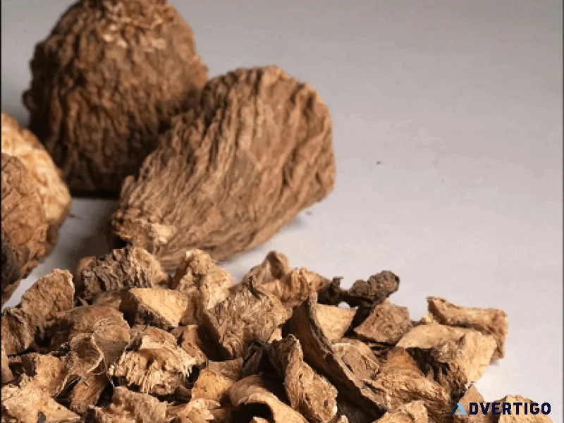 Dried chicory roots premium quality natural ingredient