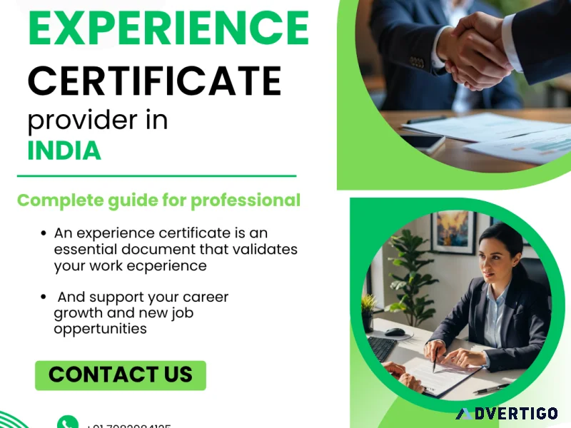 Professional employment documentation support