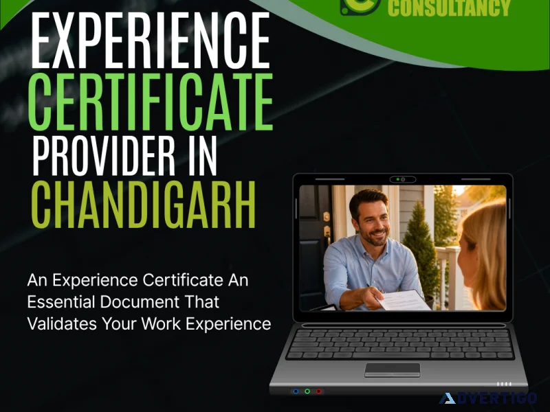 Professional employment documentation in chandigarh