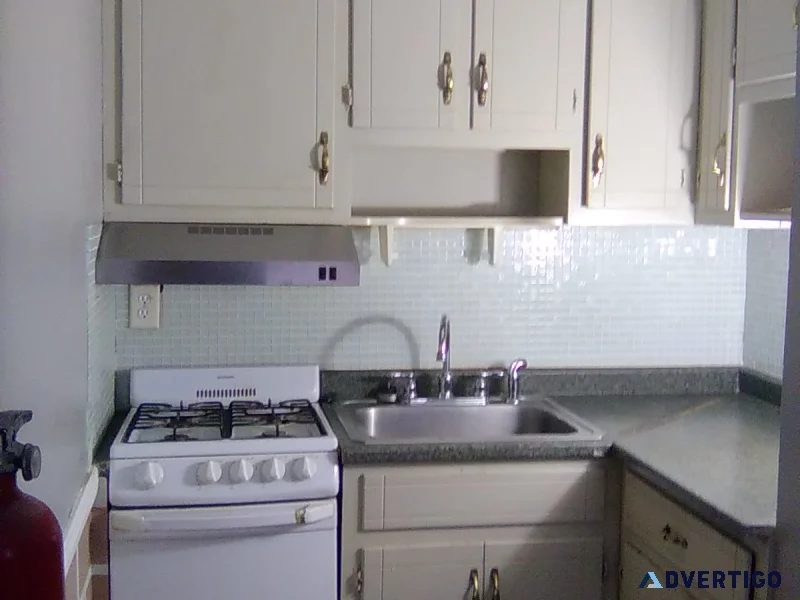 1 bedroom apartment for rent