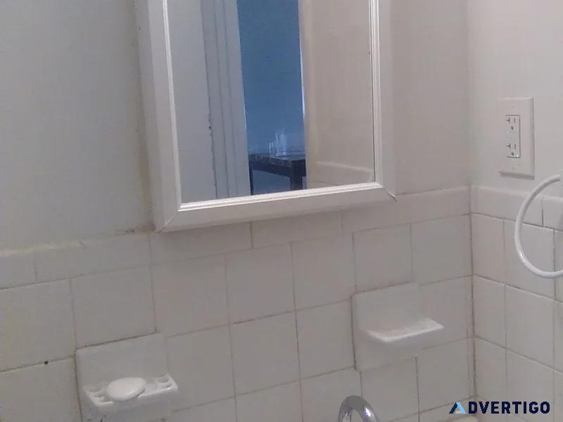 1 bedroom apartment for rent