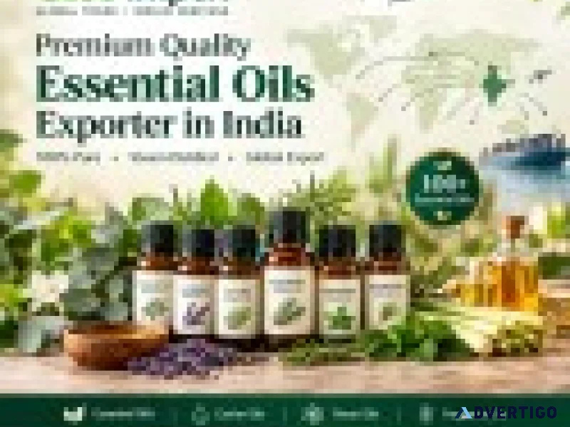 Essential oil exporter in india glee impex
