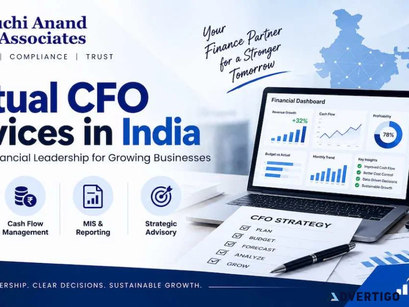 Virtual cfo assistance for corporate governance and financial ri