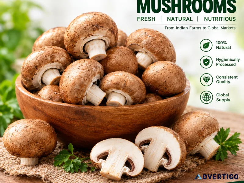 Mushrooms exporter in india glee impex