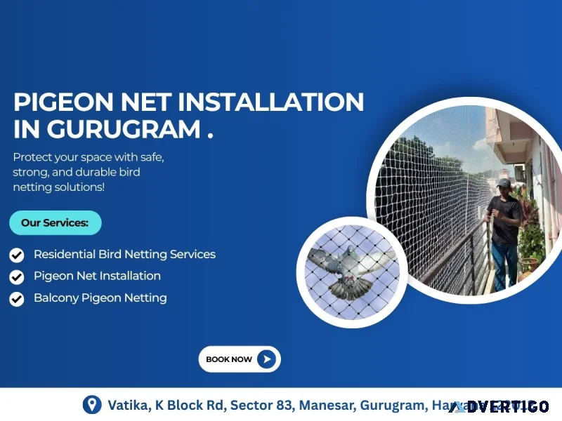 Reliable pigeon net instalition in gurugram