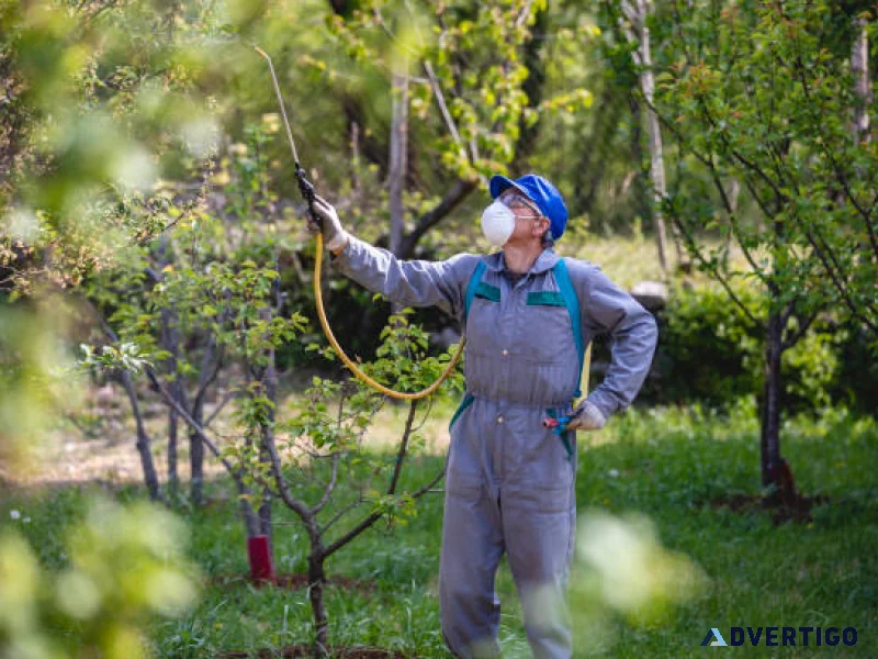 Arboricultural disease control specialists for healthy trees