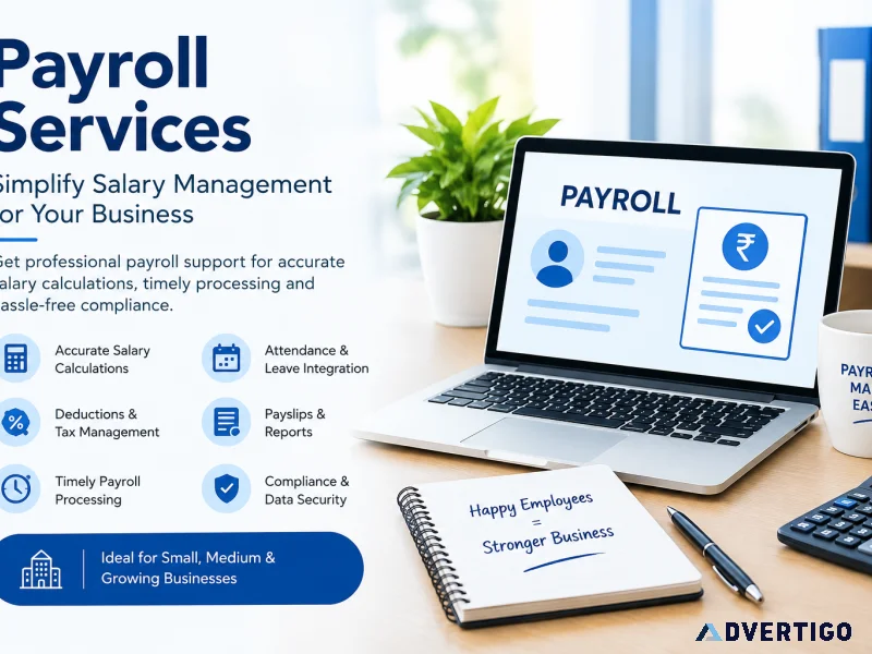 Professional payroll services for accurate timely salary proce