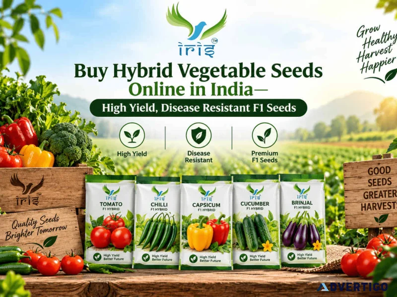 Hybrid vegetable seeds online buy quality seeds iris seeds