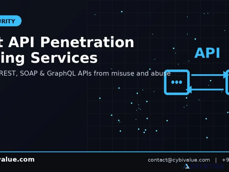 Best api penetration testing services in bhutan