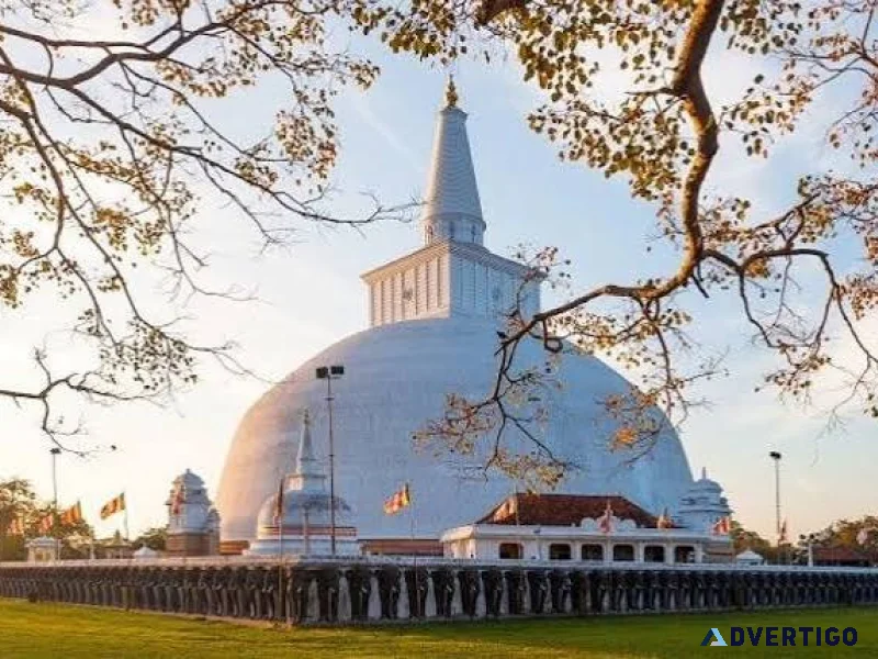 7 days buddhist pilgrimage tour pacakge from india