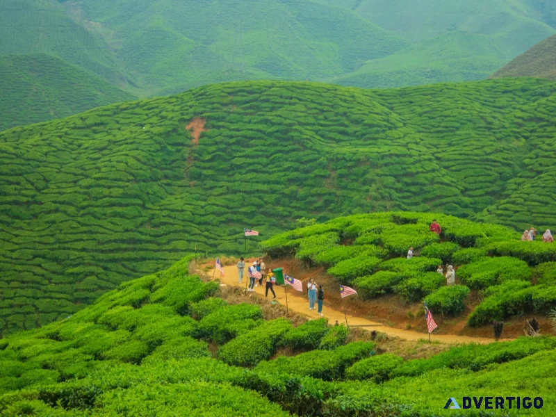 Darjeeling hill escape tour package 3 nights 4 days