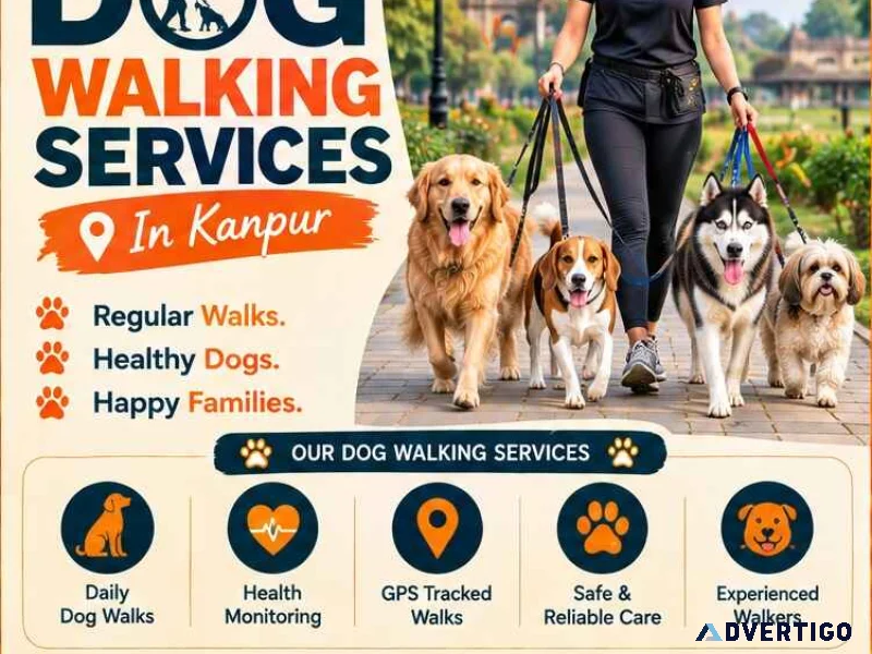 Dog walking services in kanpur