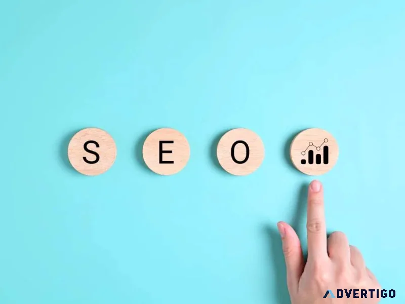 Grow organically with seo services across india