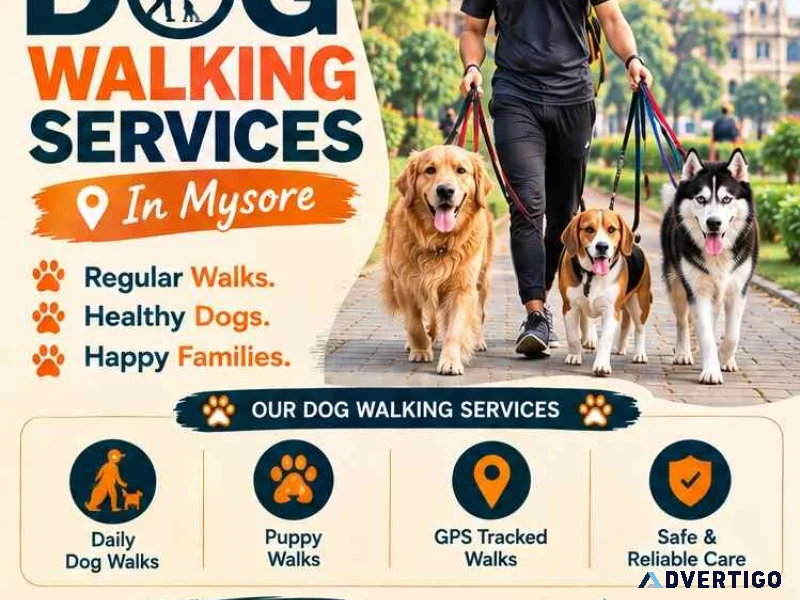 Dog walking services in mysore