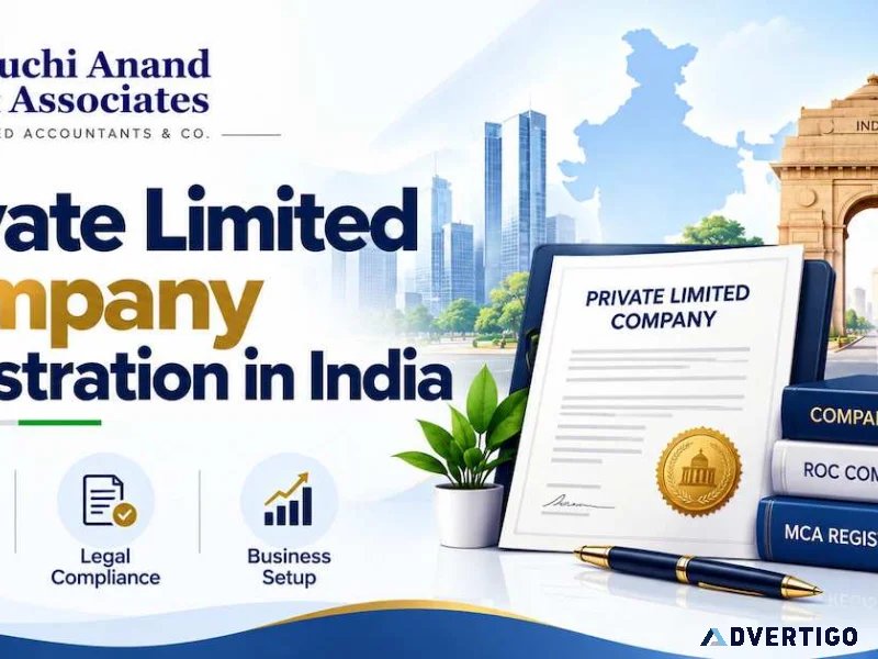 Professional company registration support for startups