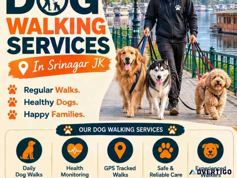 Dog walking services in srinagar jk