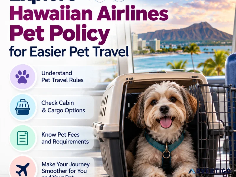 Petservice