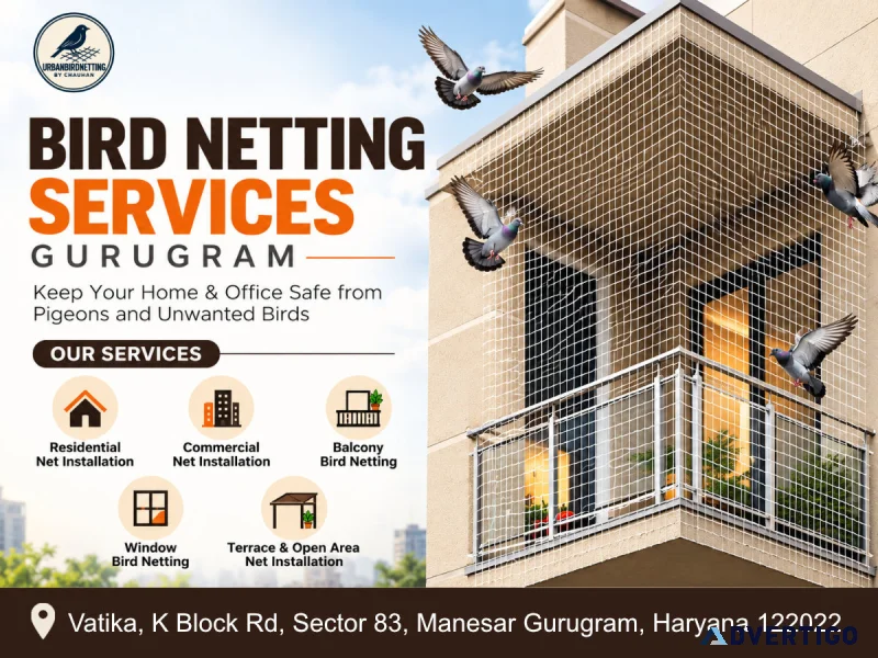Professional bird netting services in gurugram