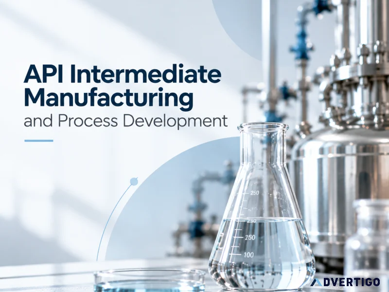 Api intermediate manufacturing and process development by pyg