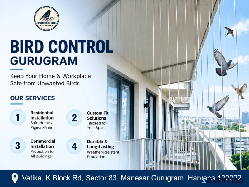 Trusted bird control in gurugram