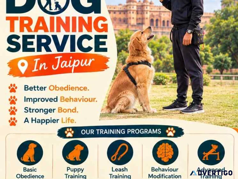 Dog training service in jaipur