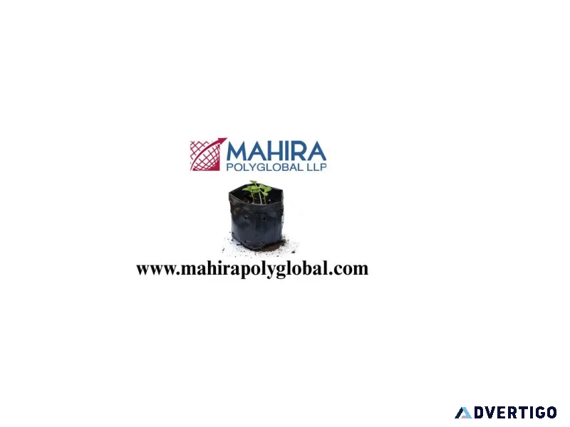 Planter bags encourage healthier roots through better