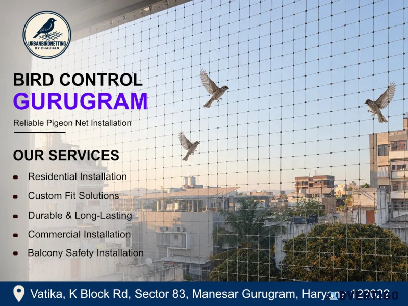 Affordable bird control in gurugram