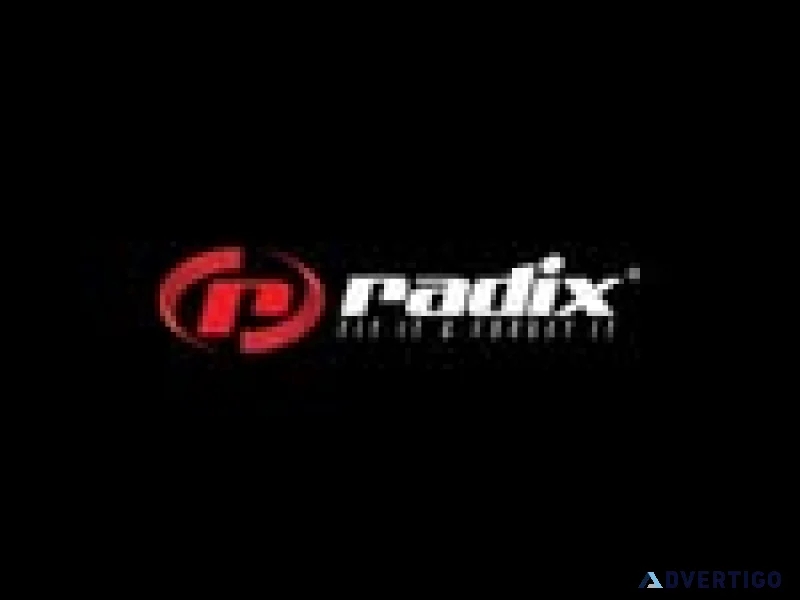 Radix power solutions private limited