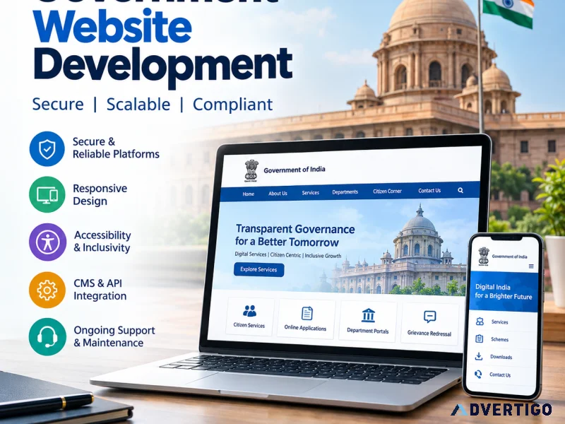 Government website accessibility services