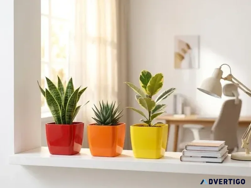 Buy pots for indoor plants online