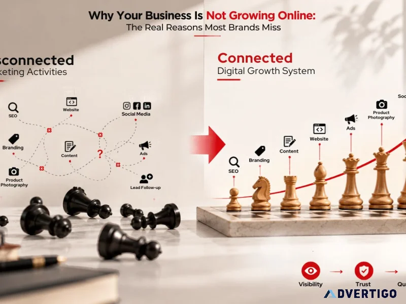 Why your business is not growing online the real reasons most b