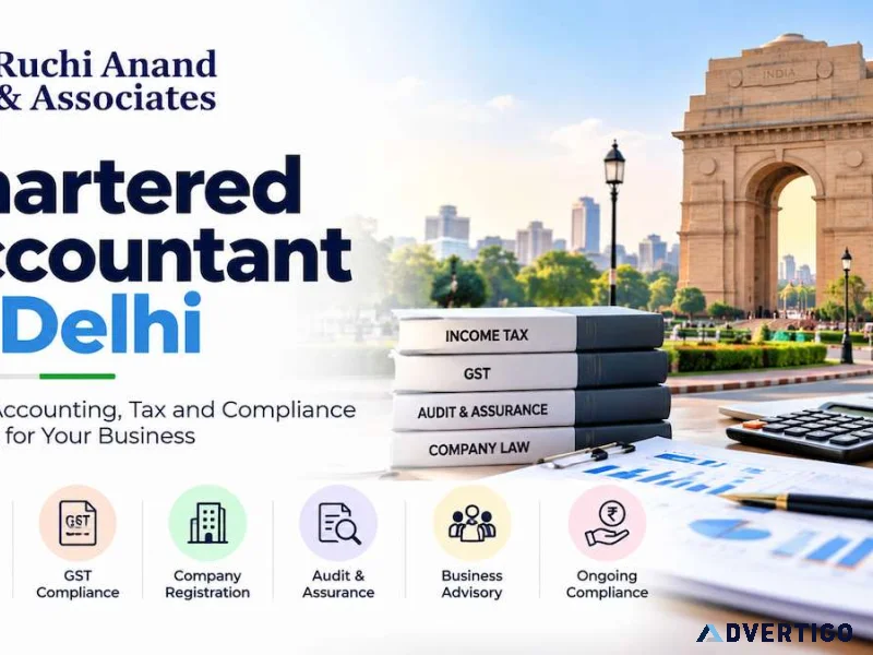 Professional ca in delhi for individuals and growing businesses