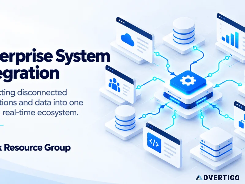 Netlink resource group enterprise system integration solutions
