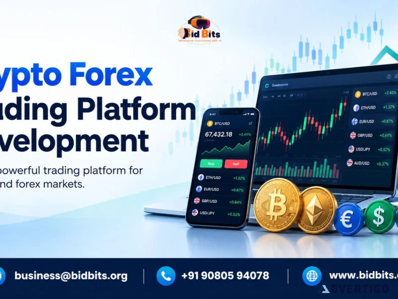 Crypto forex trading platform development for digital markets