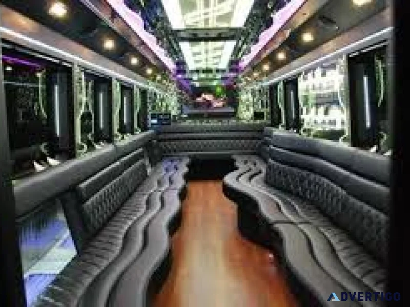 Brooklyn tourism party bus