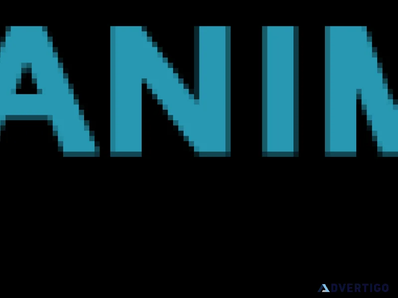 Website designing company in rohini