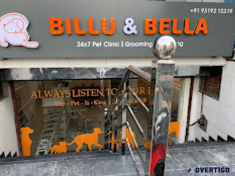 Billu and bella vet doctor in dwarka