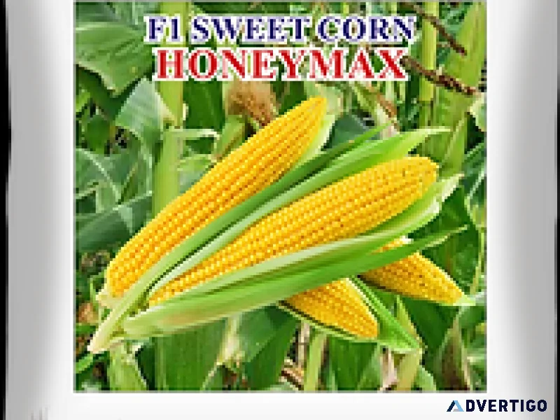 Iris sweetcorn honeymax seeds iris seeds