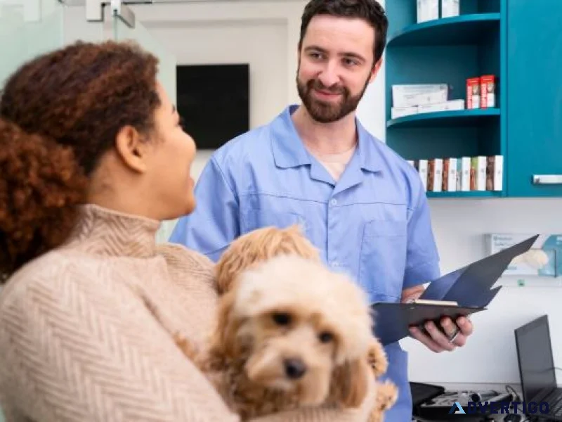 247 veterinary answering service