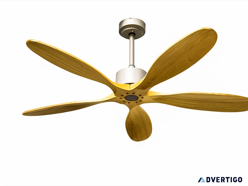 Top quality aesthetic designer fan by wadbros