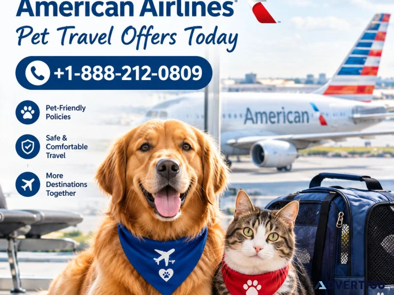 American airlines pet policy