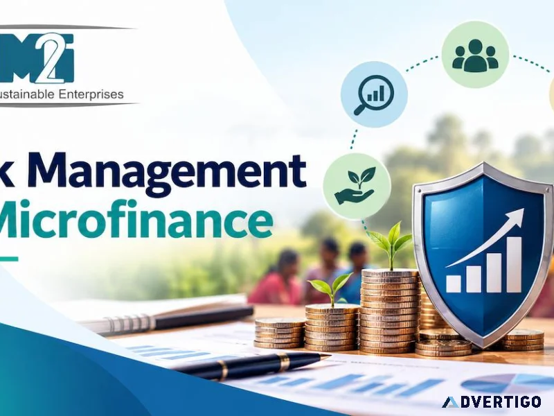 Credit risk assessment and portfolio risk management in microfin