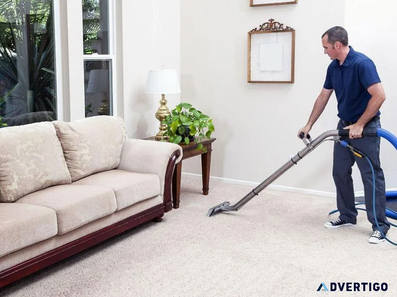 Best carpet cleaning in noida butterflyy