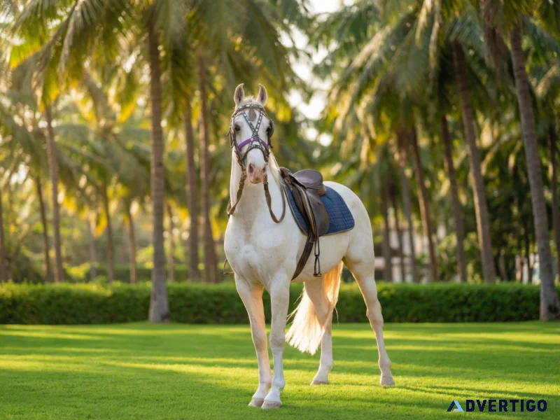 Best resorts for wedding in coimbatore nature stay in coimbato