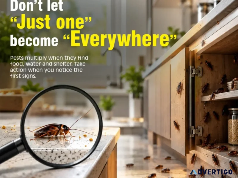 Home pest control services nagpur rsms