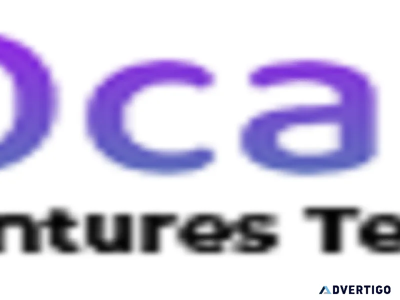 Digital marketing company in chandigarh octantis it services