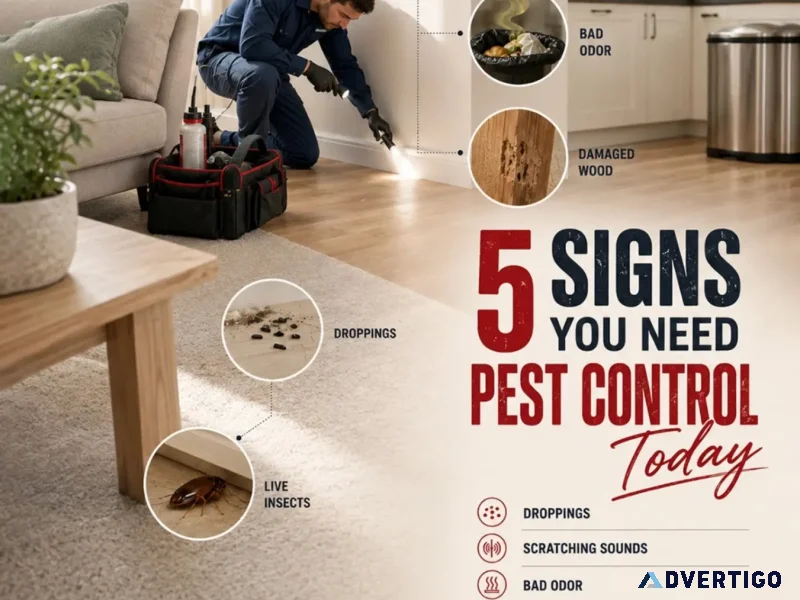 Pest control services in nagpur rsms