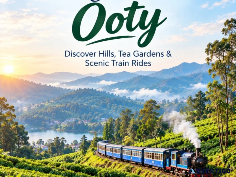Things to do in ooty unlock 20 off your getaway 91 90904848